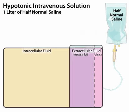 Iv Fluids Intravenous Fluids The 4 Most Common Types