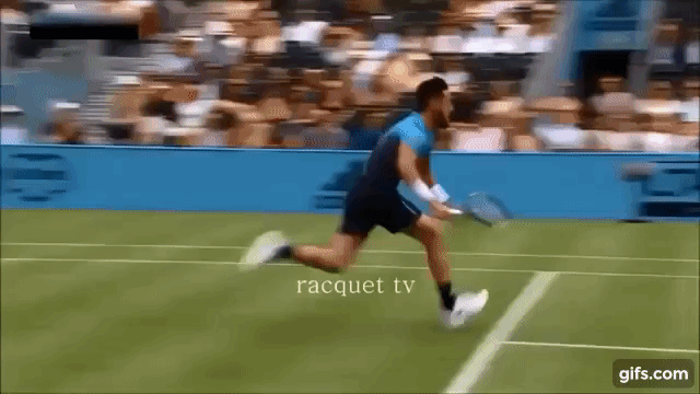 Tennis. TOP Funny Moments (2018 Edition) animated gif