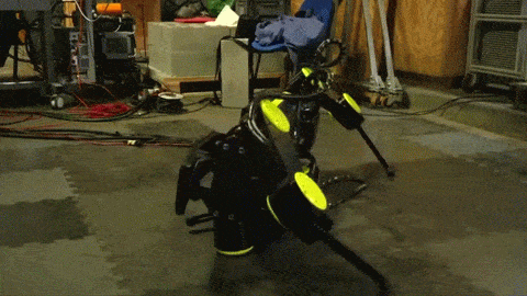 robot rescue dogs