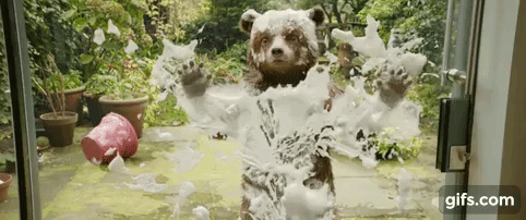 Funny bear washing glass
