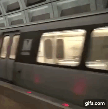 metro washington dieulois