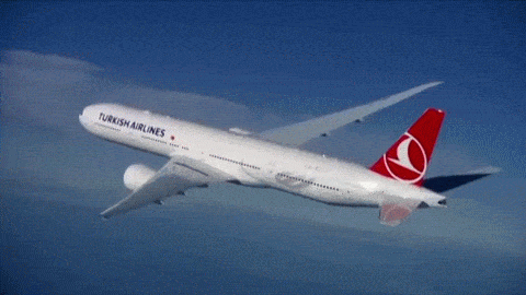 Turkish Airlines - Boeing 777-300ER Flight animated gif