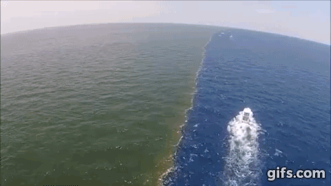 VIDEO: Mississippi River Rip in the Flesh animated gif