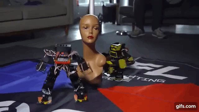Unboxing a $1300 Professional Fighting Robot animated gif