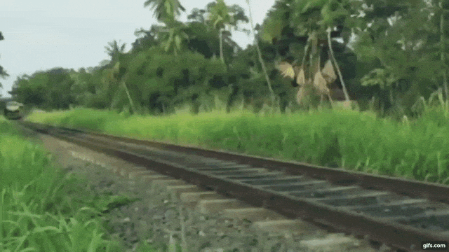 Indian Man Kicks the Train. animated gif