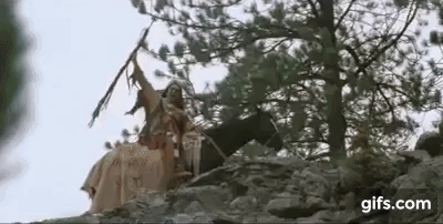 kevin costner dances with wolves dieulois
