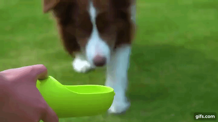 PETKIT EVERSWEET Hund Wasserflasche animiertes GIF
