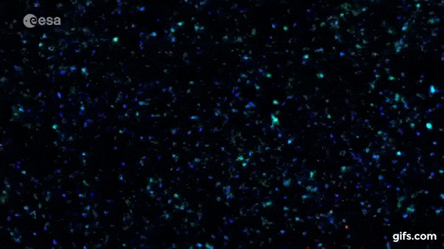 Merging galaxies in the early Universe animated gif
