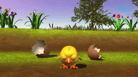 El Pollito Pío 3D - Canciones de la Granja 2 animated gif