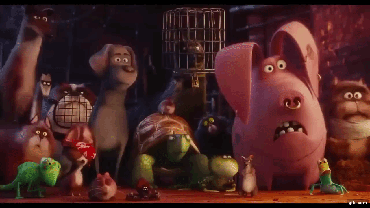 The Secret Life Of Pets - Snowball Funny Moments (HD) animated gif
