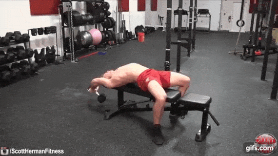 dumbbell lat pullover animated gif