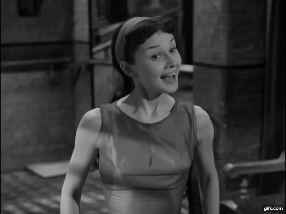 Audrey Hepburn DIEULOIS
