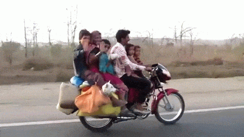 6 man Indian Bike (6 people 2 dogs and loads of luggage).avi animated gif