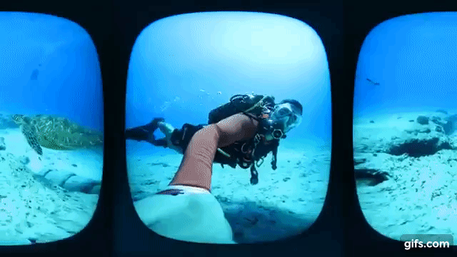 アナタもウミガメといっしょに泳ごう♪ VR水中遊泳の巻