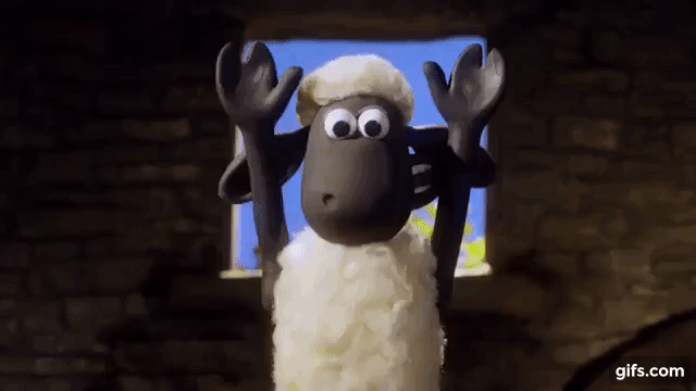 Shaun the Sheep - Kelapa [The Coconut] animated gif