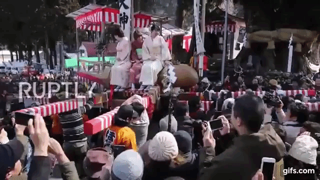Japanese Phallus Festival