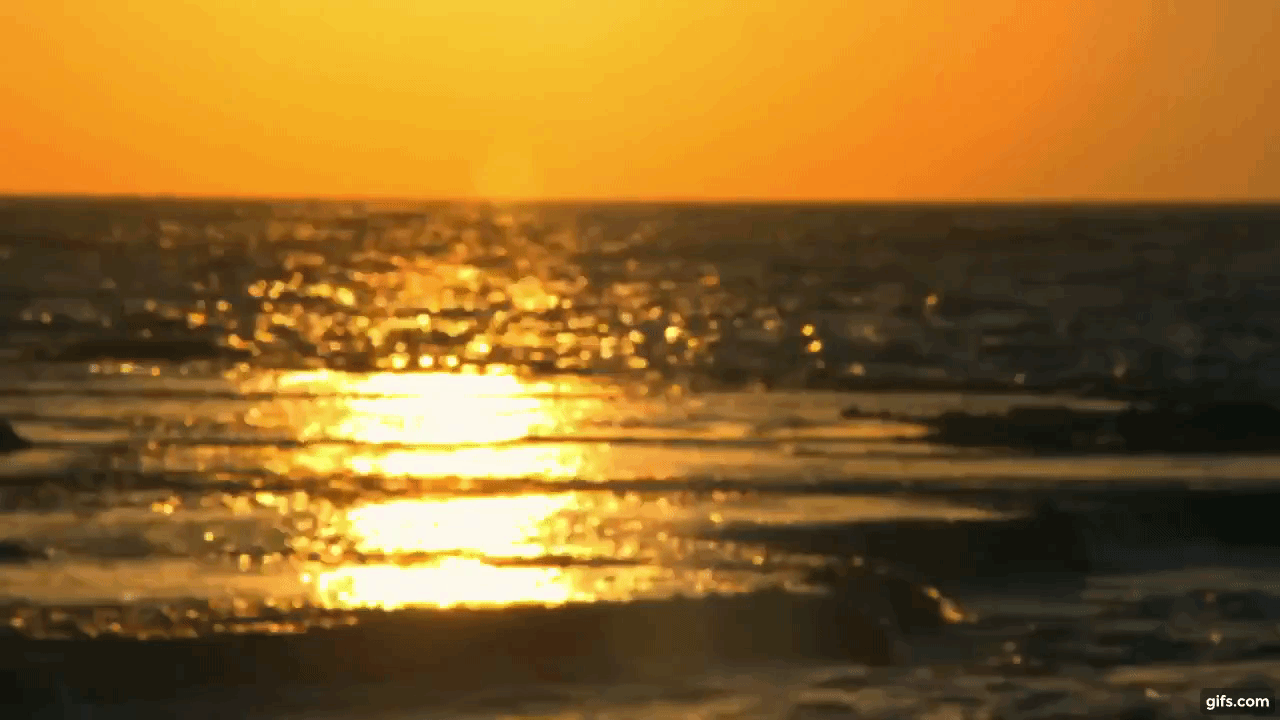 Sunset reflection on water background video for Editing your own video  animated gif