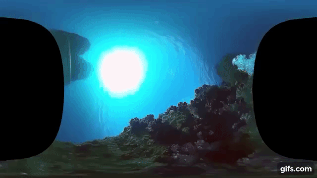 ちょ～きもちいい!室戸沖の海中を泳ぐ360度VR動画が最高すぎた