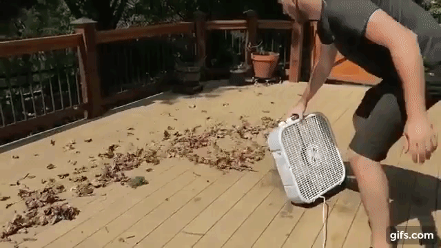 Fall Leaf Hack- here's one way to clean a deck!