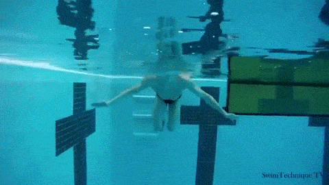 Watch and create more animated gifs like Butterfly Swimming Technique at gi...