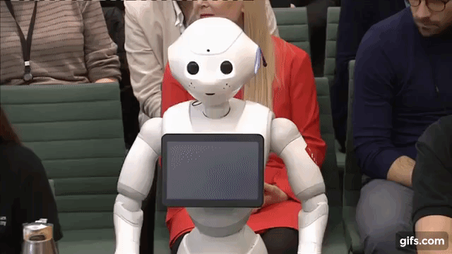 Pepper the robot gives evidence in Parliament animated gif