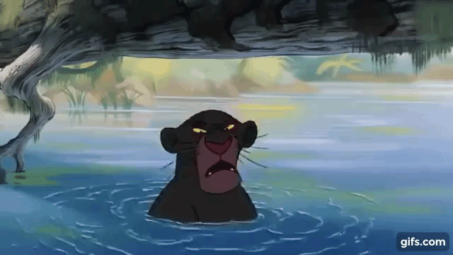The Jungle Book - Bagheera leaves Mowgli animated gif