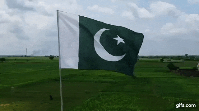 Pakistan flag waiving animated gif