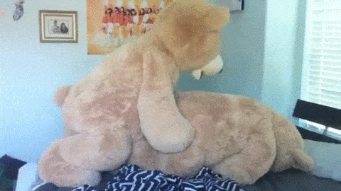 Teddy bear porn animated gif
