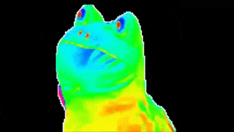 Rainbow Pepe The Frog Dancing Gif Gifdb Com | My XXX Hot Girl