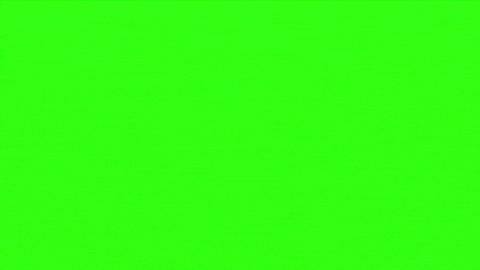 Green Screen GIF Maker  How to Customize a Green Screen GIF on PC